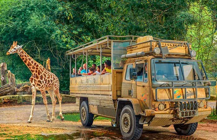 Chessington World of Adventures, Chessington parques de atracciones de reino unido