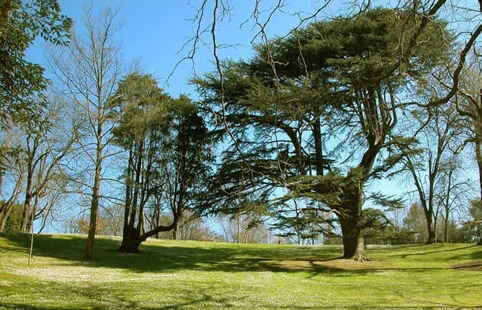 Parque de Cristina Enea en San Sebastián