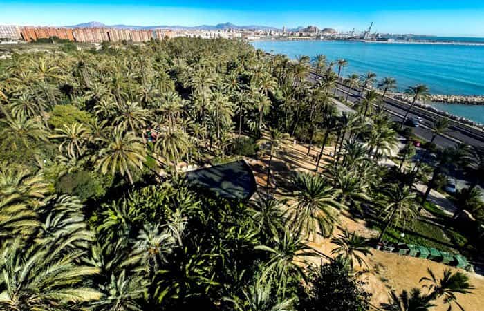 Parque El Palmeral de Alicante