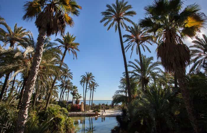 El Palmeral de Elche es el más grande de Europa El Palmeral, Elche