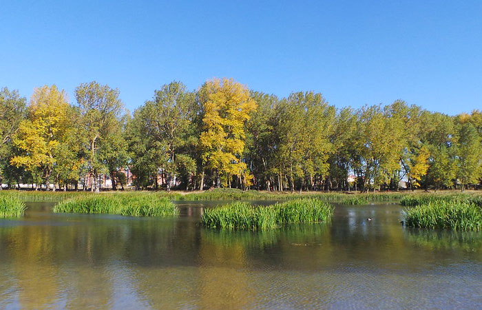 Parque de Fuentes Blancas en Burgos