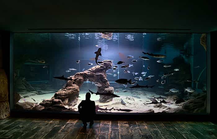 Museo Marítimo del Cantábrico, Santander fin de semana en santander