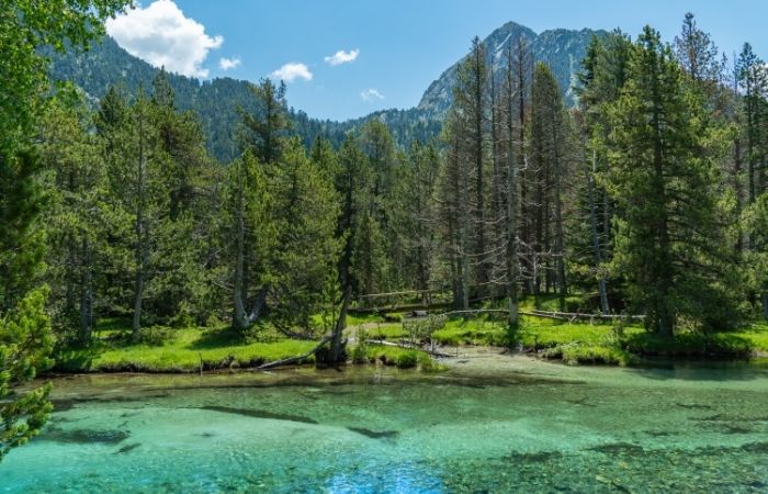 Parque Nacional de Aigüestortes en Lleida