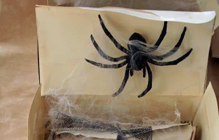 invitaciones Halloween araña invitaciones Halloween araña