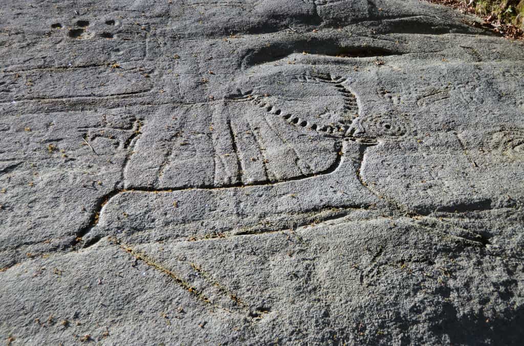 Parque Arqueológico de Arte Rupestre de Campo Lameiro, Pontevedra
