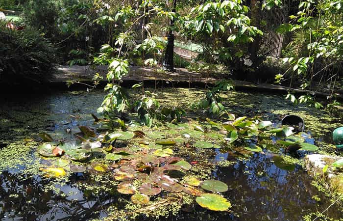 Jardín botánico Fundación Sales en Vigo, Pontevedra