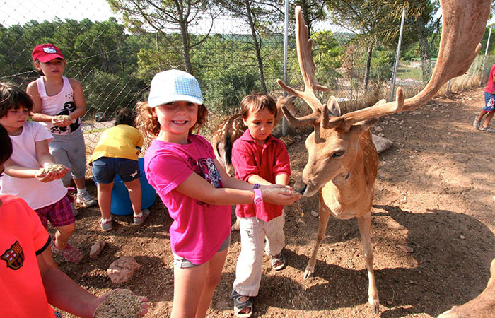 Excursiones escolares: Granja Natura en Navás