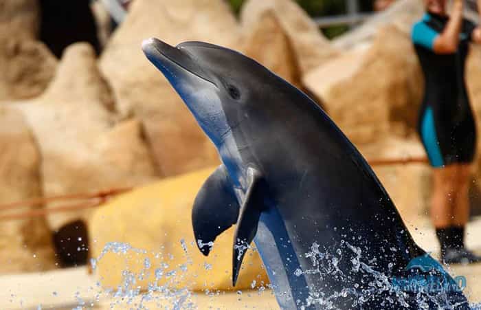 Marineland Catalunya en Palafolls, Barcelona