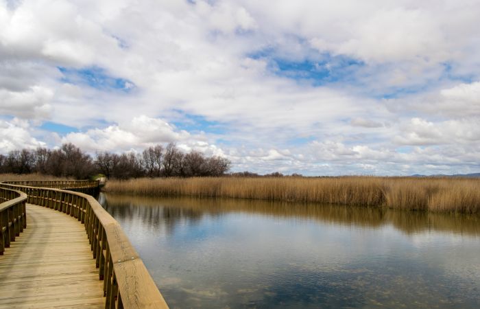 Paisaje con pasarela de Las Tablas de Daimiel, uno de los Parques Nacionales de España Parques Nacionales de España: Las Tablas de Daimiel