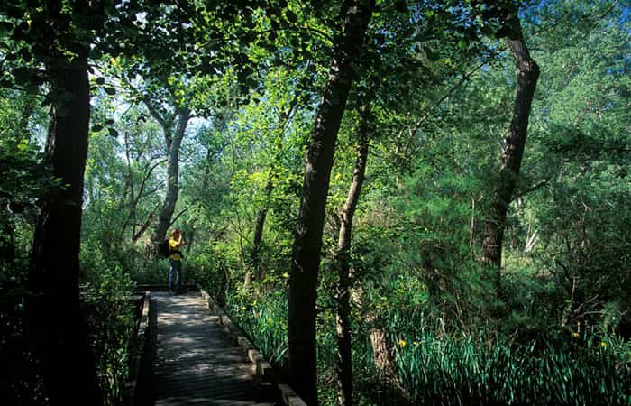 Ruta en bicicleta en Flix, Tarragona