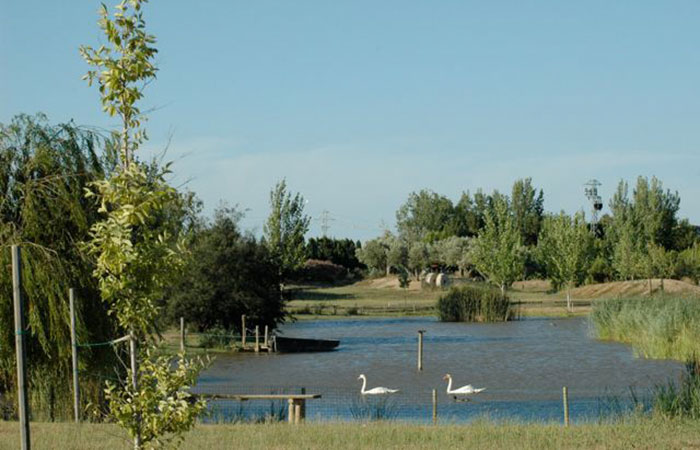Parque de Aventura y Naturaleza Deltaventur en Deltebre, Tarragona