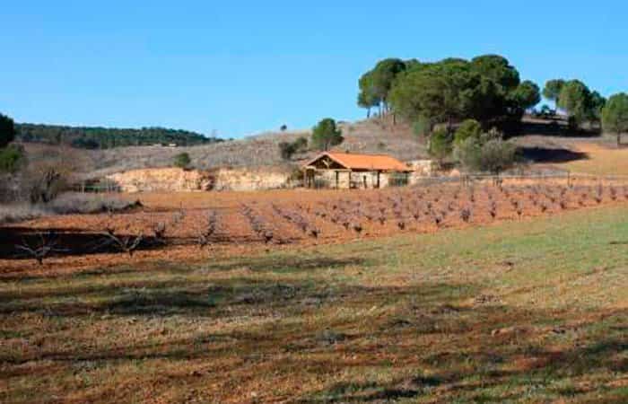 Centro Agroambiental Los Nuevos en Alarcón, Cuenca
