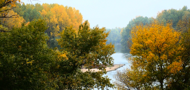 Reserva Natural de los Sotos del Ebro en Alfaro, La Rioja