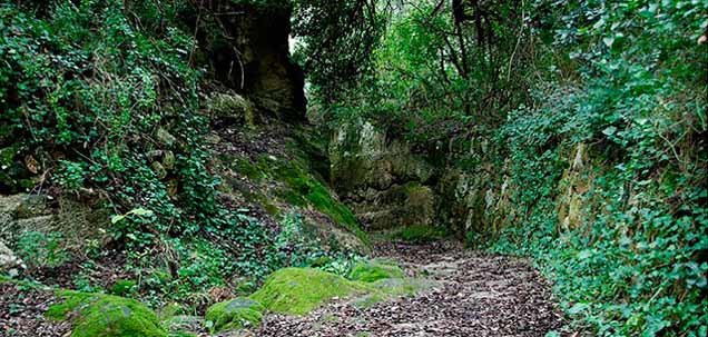 Ruta por el Barranco d’Algendar