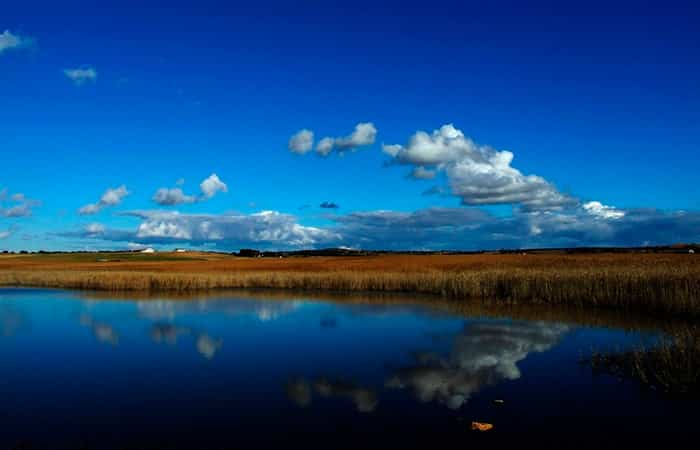 Reserva Natural de la Laguna de Pétrola en Albacete