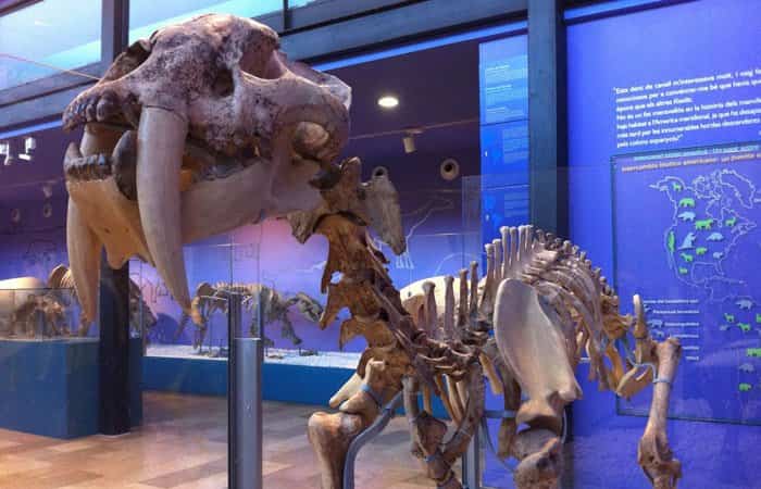 Museo de Ciencias Naturales de Valencia