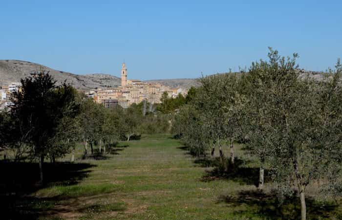 Sierra de Mariola en Alcoy, Alicante