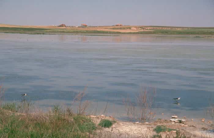 Reserva Natural Laguna del Prado de Pozuelo de Calatrava, Ciudad Real