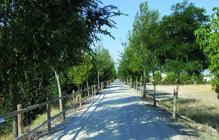 Vía Verde Canal de María Cristina en Albacete