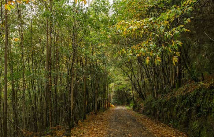 Parque Natural das Fragas do Eume en A Coruña