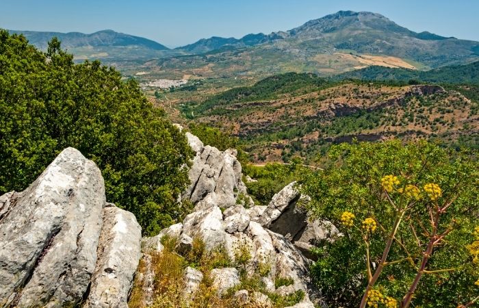 Parque Nacional Sierra de las Nieves en Málaga