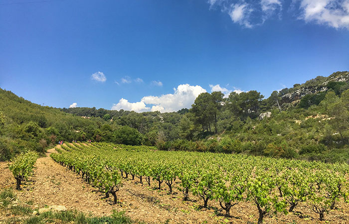 Parc del Garraf en Barcelona