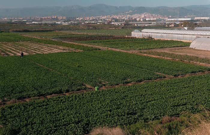 Parque Agrario del Baix Llobregat en Barcelona