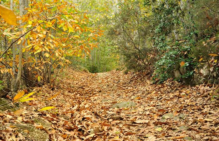 Parque del Montnegre y el Corredor en Barcelona
