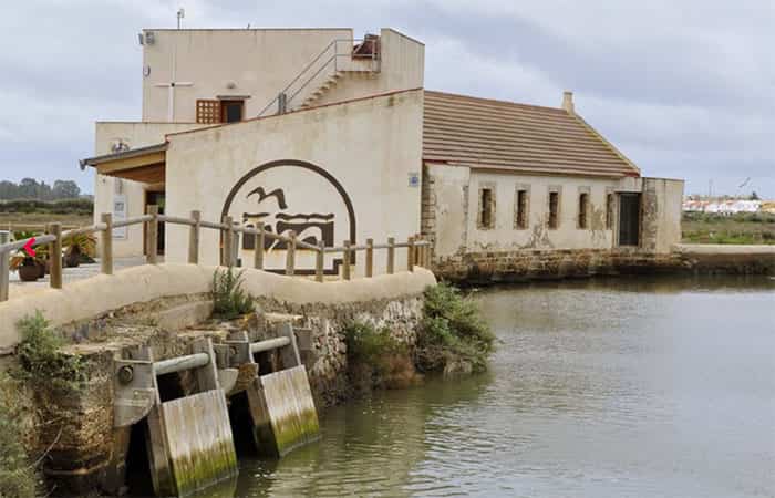 Paraje Natural Marismas de Isla Cristina en Huelva