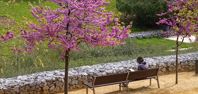 Parc de la Riera de Canyadó