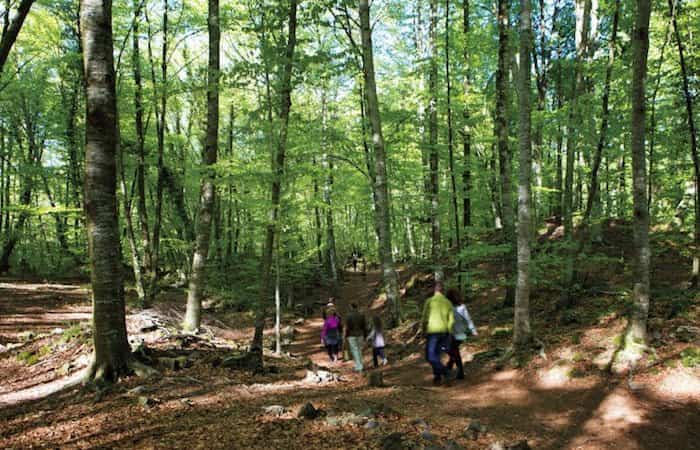Parque Natural de la Zona Volcánica de la Garrocha en Girona