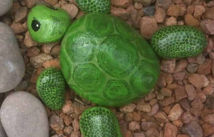 hacer una tortuga con piedras de playa crear una tortuga con piedras de playa