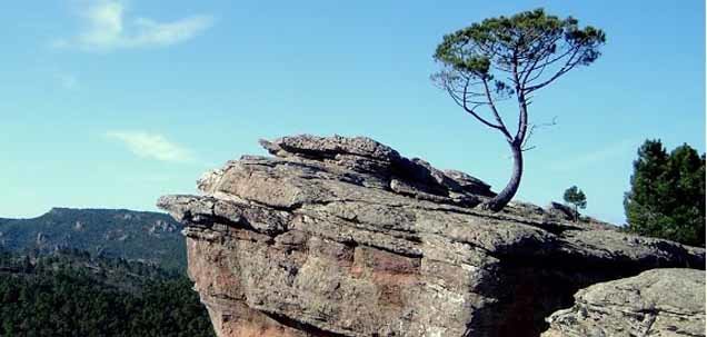 Subiendo a la Peña de la Tabarreña