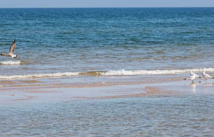 Playa de Rabdells en Oliva, Valencia