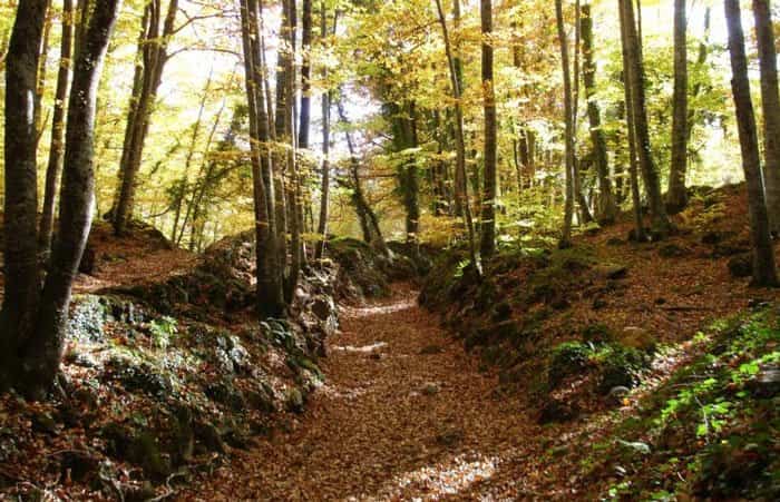 Ruta desde la Fageda al Volcán de Croscat en Girona