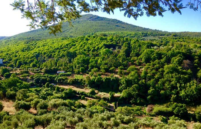 Castañar de Ibor en Cáceres