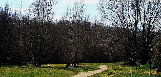 Parque de las Riberas del Ter