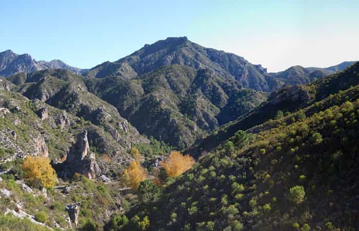 Parque Natural de las Sierras de Tejeda, Almijara y Alhama