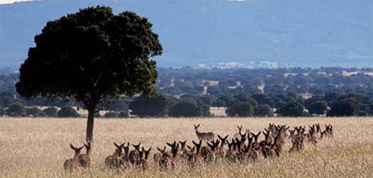 visita4x4familiascabaneros_acti_204_11_B