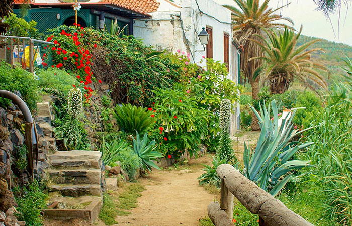 Sendero de Las Aguas en Tenerife