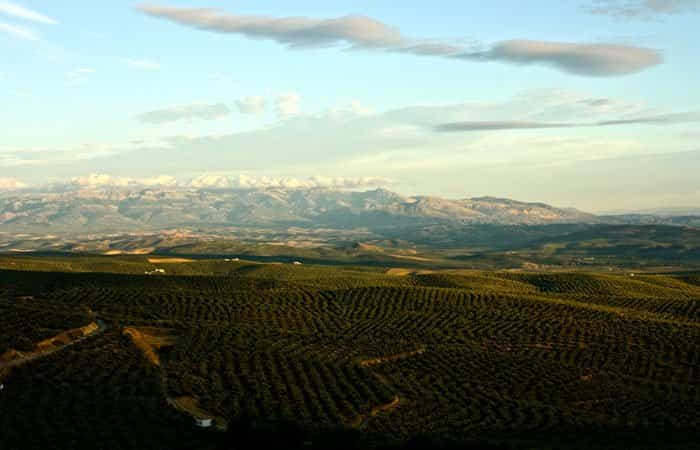 Parque Natural de las Sierras de Cazorla, Segura y Las Villas en Jaén