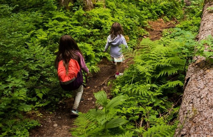 niños bosque