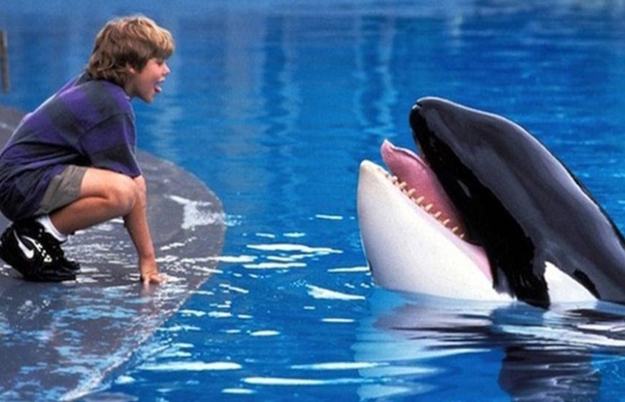 fotograma de ¡Liberad a Willy! películas con animales: ¡Liberad a Willy!
