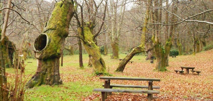 Área Recreativa de Vigonzález en Asturias