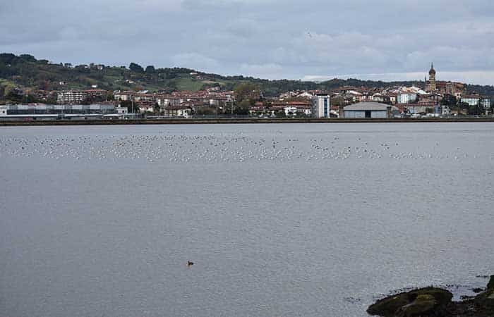 Parque Ecológico de Plaiaundi en Irún, Guipúzcoa