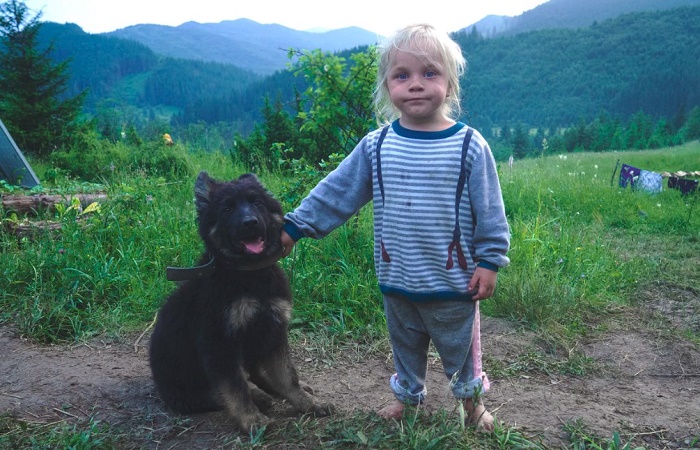 Beneficios para los niños de tener una mascota en casa padres Beneficios para los niños de tener una mascota en casa España