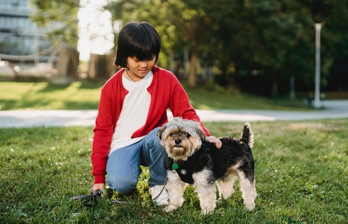 Beneficios para los niños de tener una mascota en casa Beneficios para los niños de tener una mascota en casa consejos