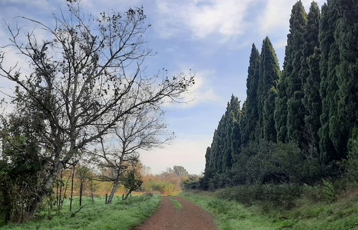 Camino Natural del río Manol en Figueres, Girona