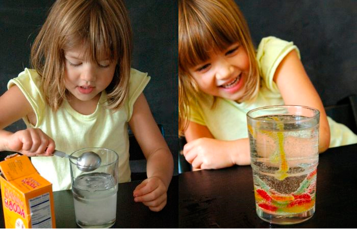 experimento con gominolas con forma de gusano y agua Experimentos científicos: gusanos bailarines