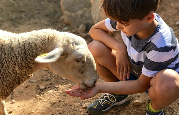 Granja Aventura Park en Barcelona